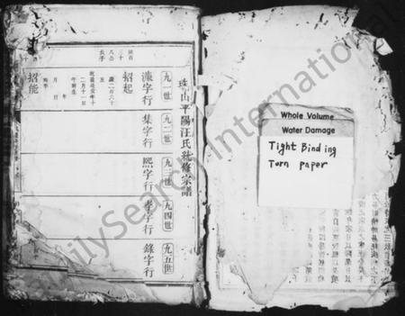 浙江汪氏族谱-珠山汪氏宗谱.pdf电子版插图2