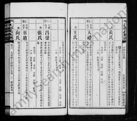 湖南彭氏族谱-平江彭氏族谱 [残卷].pdf电子版插图4