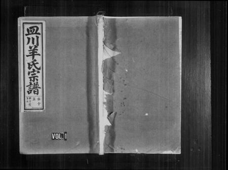 浙江羊氏族谱-皿川羊氏宗谱 [残卷].pdf电子版插图1