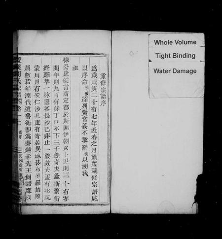 浙江胡氏族谱-盘溪胡氏宗谱 [14卷,及卷末].pdf电子版插图2