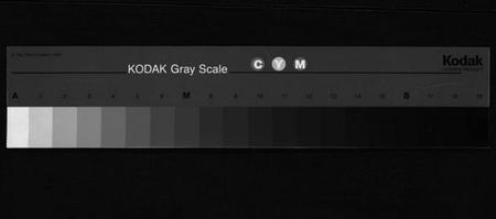 浙江卢氏族谱-卢氏宗谱 [12卷].pdf电子版