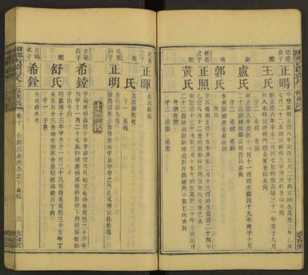 湖南彭氏族谱-湘乡青兰彭氏三修族谱 [残卷].pdf电子版插图3