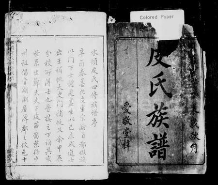 湖南皮氏族谱-水头皮氏四修族谱.pdf电子版插图2