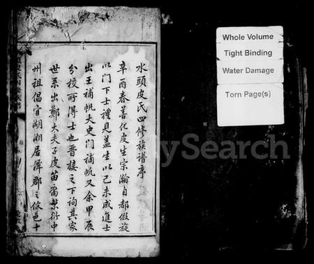 湖南皮氏族谱-水头皮氏四修族谱.pdf电子版插图3