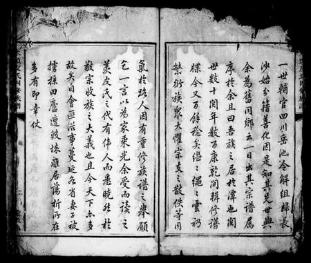 湖南皮氏族谱-水头皮氏四修族谱.pdf电子版插图5