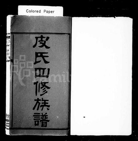 湖南皮氏族谱-皮氏四修族谱 [30卷].pdf电子版插图1