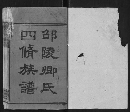 湖南卿氏族谱-邵陵卿氏四修族谱.pdf电子版插图1