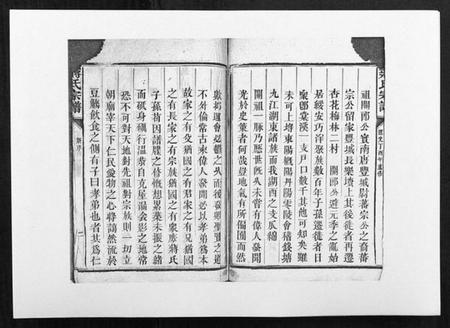 江西蒋氏族谱-蒋氏宗谱[不分卷].pdf电子版插图2