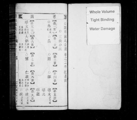 浙江陈氏族谱-颖川陈氏宗谱.pdf电子版插图2