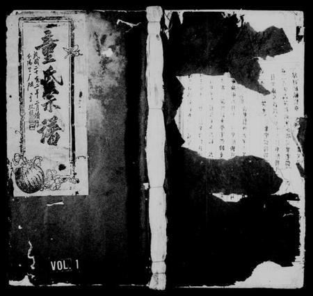 浙江童氏族谱-童氏宗谱 [残卷].pdf电子版插图1