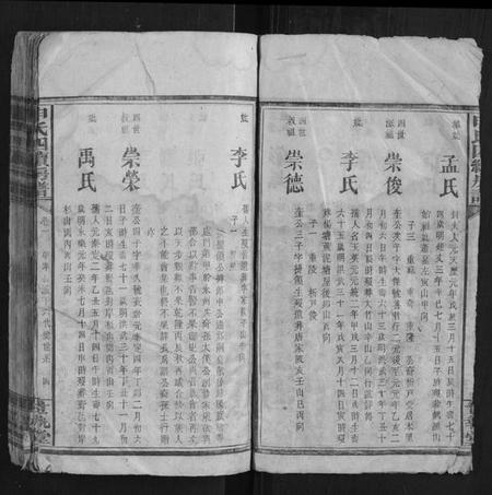 湖南申氏族谱-申氏四续房谱.pdf电子版插图4