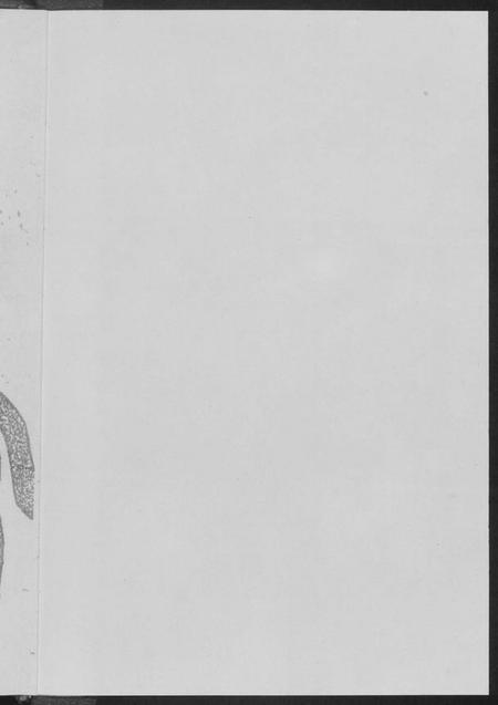 湖北黄氏族谱-黄氏世系吊图谱.江夏郡义城堂.pdf电子版插图3