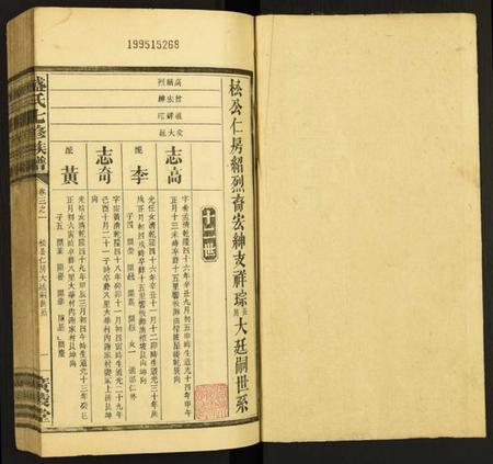 湖南盛氏族谱-盛氏七修族谱.pdf电子版插图1 湖南盛氏族谱-盛氏七修族谱.pdf电子版插图1