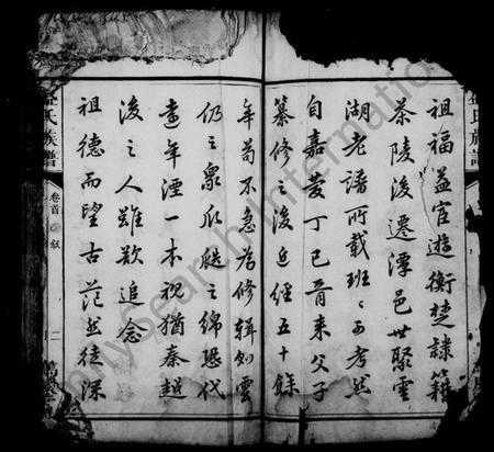 湖南盛氏族谱-盛氏族谱 [24卷,及卷首末].pdf电子版插图3