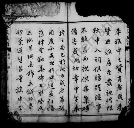 湖南盛氏族谱-盛氏族谱 [24卷,及卷首末].pdf电子版插图5