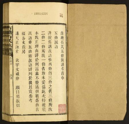 湖南石氏族谱-古塘石氏族谱.pdf电子版插图1