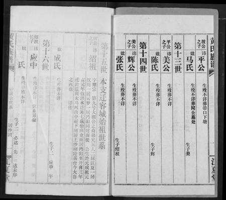 湖北黄氏族谱-黄氏族谱.pdf电子版插图2