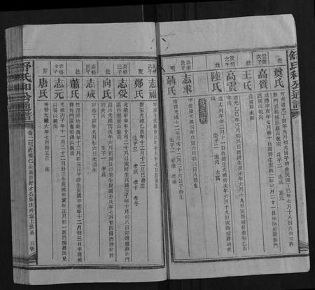 湖南舒氏族谱-舒氏和公通谱.pdf电子版插图5 湖南舒氏族谱-舒氏和公通谱.pdf电子版插图5