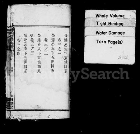 湖南帅氏族谱-帅氏四修族谱 [8卷,首2卷].pdf电子版插图2