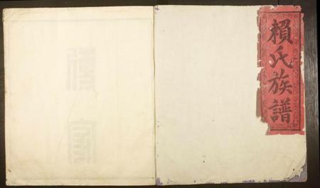 江西赖氏族谱-信丰赖氏族谱.pdf电子版