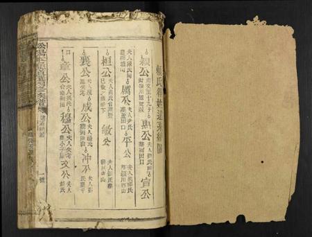 江西赖氏族谱-松阳本鼐道选四修族谱[总卷数不详].pdf电子版插图1