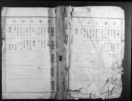 江西赖氏族谱-松阳赖氏五修族谱.pdf电子版