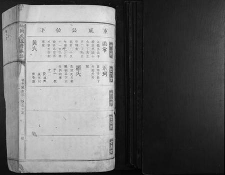 江西赖氏族谱-松阳赖氏五修族谱.pdf电子版插图1