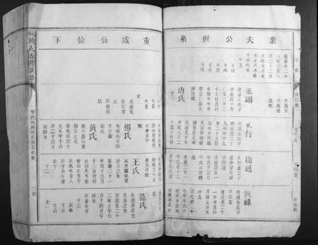 江西赖氏族谱-松阳赖氏五修族谱.pdf电子版插图2