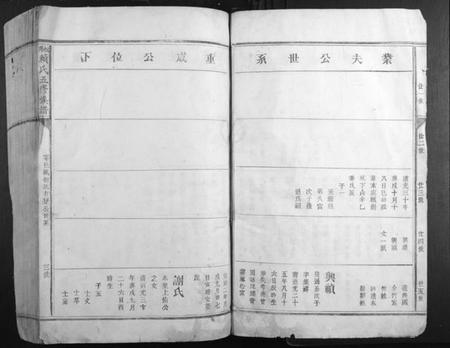 江西赖氏族谱-松阳赖氏五修族谱.pdf电子版插图3