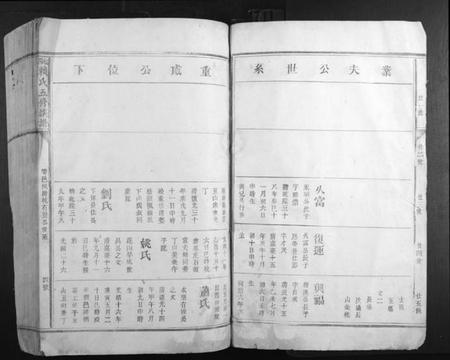 江西赖氏族谱-松阳赖氏五修族谱.pdf电子版插图4