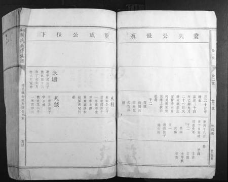 江西赖氏族谱-松阳赖氏五修族谱.pdf电子版插图5