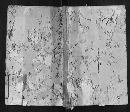 江西赖氏族谱-松阳双峰赖氏族谱.pdf电子版插图 江西赖氏族谱-松阳双峰赖氏族谱.pdf电子版插图