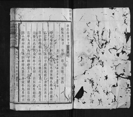 江西赖氏族谱-松阳双峰赖氏族谱.pdf电子版插图1 江西赖氏族谱-松阳双峰赖氏族谱.pdf电子版插图1