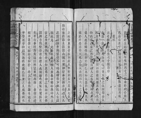 江西赖氏族谱-松阳双峰赖氏族谱.pdf电子版插图2 江西赖氏族谱-松阳双峰赖氏族谱.pdf电子版插图2