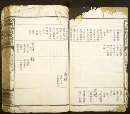 江西赖氏族谱-渝西南北赖氏族谱.pdf电子版插图3