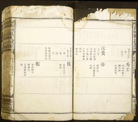 江西赖氏族谱-渝西南北赖氏族谱.pdf电子版插图4