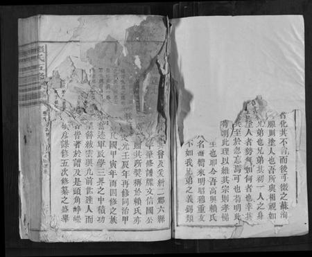 江西赖氏族谱-赖氏五修宗谱[不分卷].pdf电子版插图3