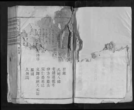 江西赖氏族谱-赖氏五修宗谱[不分卷].pdf电子版插图5