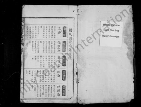 江西赖氏族谱-赖氏四修宗谱 [卷数未列].pdf电子版插图2