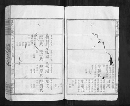 江西赖氏族谱-赖氏宗谱.pdf电子版插图3 江西赖氏族谱-赖氏宗谱.pdf电子版插图3