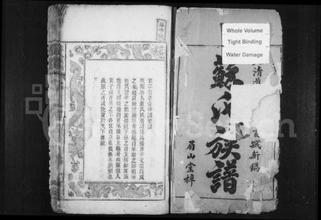 湖南苏氏族谱-苏氏族谱 [12卷,及卷首].pdf电子版插图3