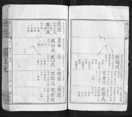 江西赖氏族谱-赖氏宗谱.pdf电子版插图5 江西赖氏族谱-赖氏宗谱.pdf电子版插图5