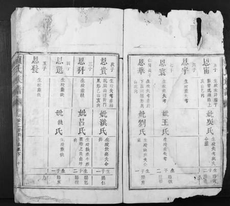 江西赖氏族谱-赖氏族谱.pdf电子版插图2