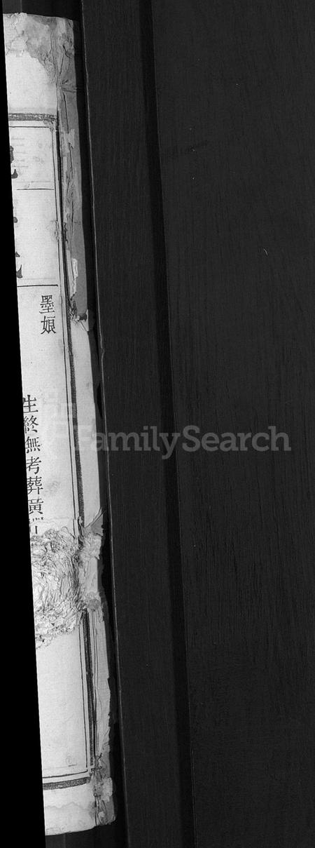 湖南苏氏族谱-苏氏武功续修族谱 [残卷].pdf电子版插图2