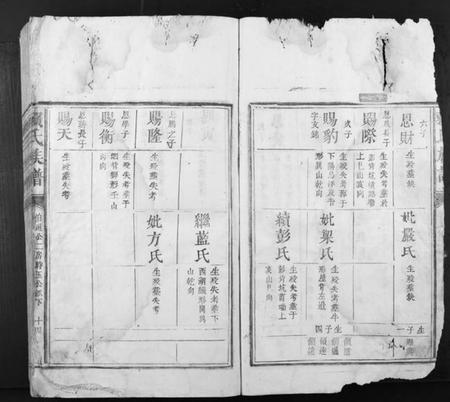 江西赖氏族谱-赖氏族谱.pdf电子版插图3