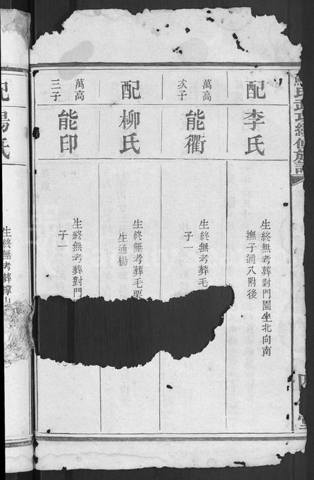 湖南苏氏族谱-苏氏武功续修族谱 [残卷].pdf电子版插图4