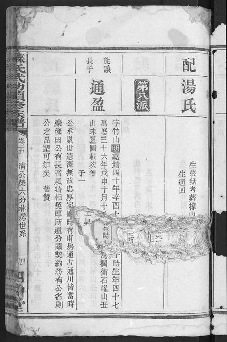 湖南苏氏族谱-苏氏武功续修族谱 [残卷].pdf电子版插图5