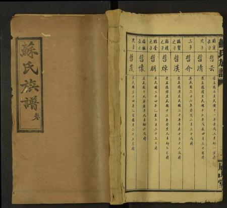 湖南苏氏族谱-苏氏族谱 [总卷数不详].pdf电子版