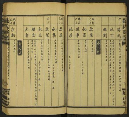 湖南苏氏族谱-苏氏族谱 [总卷数不详].pdf电子版插图5