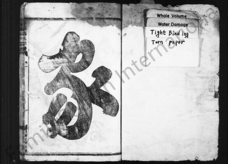 浙江施氏族谱-肇峰施氏宗谱 [8卷].pdf电子版插图2